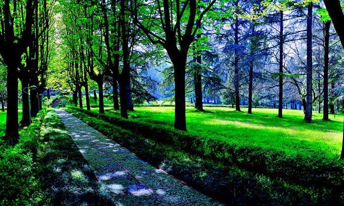 Hotel Terme مونتيتْشيلي تيرمي المظهر الخارجي الصورة
